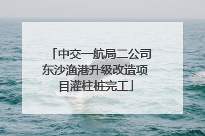 中交一航局二公司东沙渔港升级改造项目灌柱桩完工