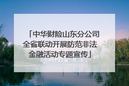 中华财险山东分公司全省联动开展防范非法金融活动专题宣传