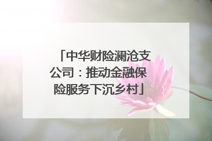 中华财险澜沧支公司：推动金融保险服务下沉乡村