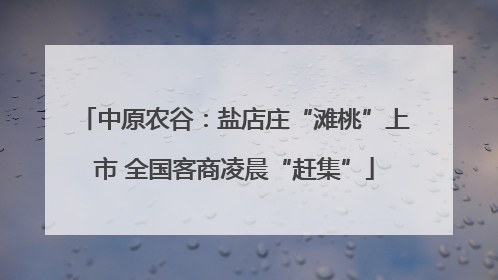 中原农谷：盐店庄“滩桃”上市 全国客商凌晨“赶集”