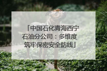 中国石化青海西宁石油分公司：多维度筑牢保密安全防线