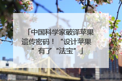 中国科学家破译苹果遗传密码！“设计苹果”有了“法宝”