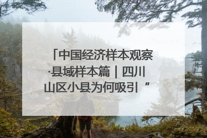 中国经济样本观察·县域样本篇｜四川山区小县为何吸引“村播”扎堆？