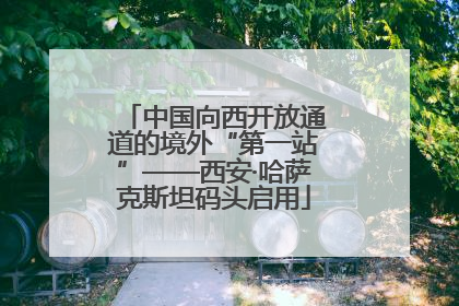 中国向西开放通道的境外“第一站”——西安·哈萨克斯坦码头启用