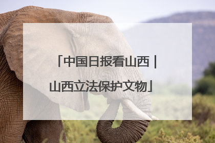 中国日报看山西｜山西立法保护文物