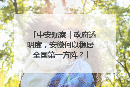 中安观察｜政府透明度，安徽何以稳居全国第一方阵？