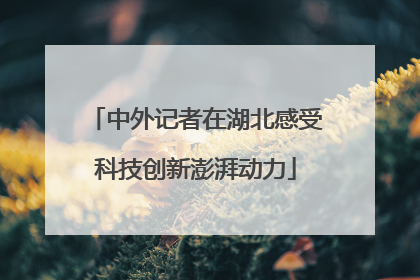 中外记者在湖北感受科技创新澎湃动力
