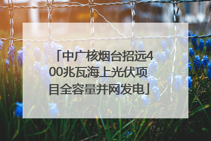 中广核烟台招远400兆瓦海上光伏项目全容量并网发电