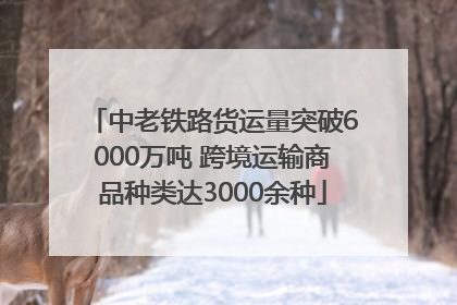中老铁路货运量突破6000万吨 跨境运输商品种类达3000余种