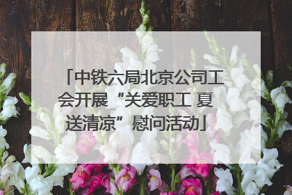中铁六局北京公司工会开展“关爱职工 夏送清凉”慰问活动