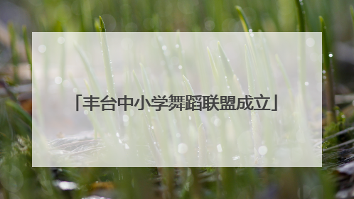 丰台中小学舞蹈联盟成立