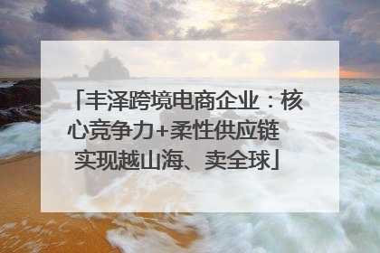 丰泽跨境电商企业：核心竞争力+柔性供应链 实现越山海、卖全球