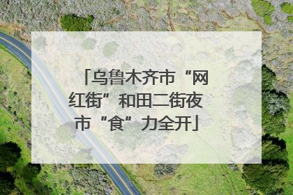 乌鲁木齐市“网红街”和田二街夜市“食”力全开
