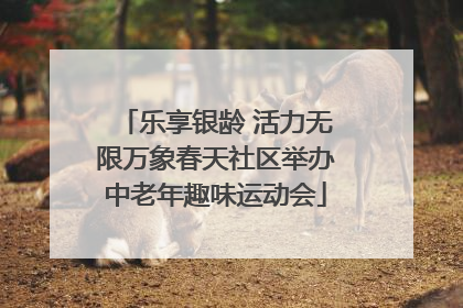 乐享银龄 活力无限万象春天社区举办中老年趣味运动会