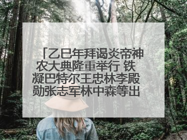乙巳年拜谒炎帝神农大典隆重举行 铁凝巴特尔王忠林李殿勋张志军林中森等出席 孙伟主持