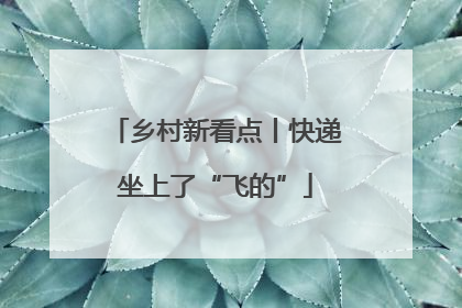 乡村新看点丨快递坐上了“飞的”