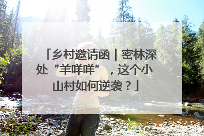 乡村邀请函｜密林深处“羊咩咩”，这个小山村如何逆袭？
