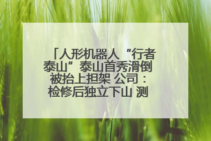 人形机器人“行者泰山”泰山首秀滑倒被抬上担架 公司：检修后独立下山 测试就是为暴露问题