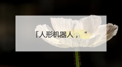 人形机器人，“打”起来了！