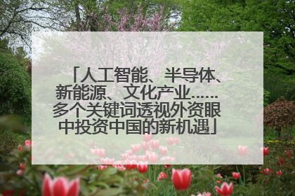 人工智能、半导体、新能源、文化产业……多个关键词透视外资眼中投资中国的新机遇