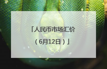 人民币市场汇价（6月12日）