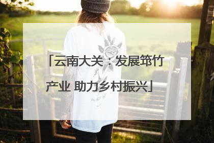 云南大关：发展筇竹产业 助力乡村振兴