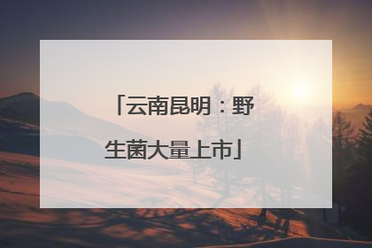云南昆明：野生菌大量上市