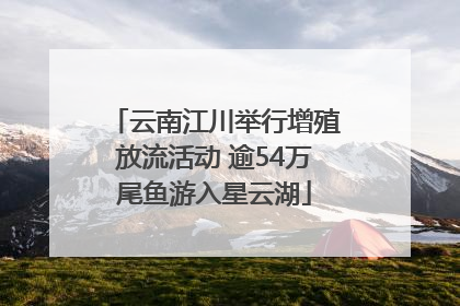 云南江川举行增殖放流活动 逾54万尾鱼游入星云湖