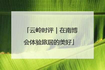 云岭时评｜在南博会体验旅居的美好