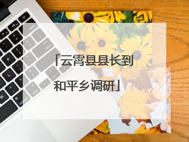 云霄县县长到和平乡调研