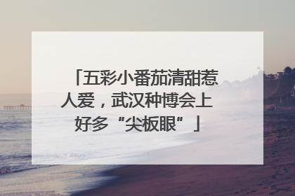 五彩小番茄清甜惹人爱，武汉种博会上好多“尖板眼”