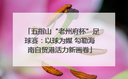 五指山“老州府杯”足球赛：以球为媒 勾勒海南自贸港活力新画卷