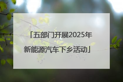 五部门开展2025年新能源汽车下乡活动