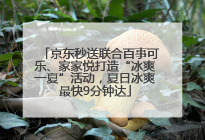 京东秒送联合百事可乐、家家悦打造“冰爽一夏”活动，夏日冰爽最快9分钟达
