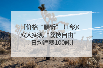 价格“腰斩”！哈尔滨人实现“荔枝自由”，日均消费100吨