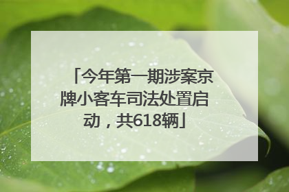 今年第一期涉案京牌小客车司法处置启动，共618辆