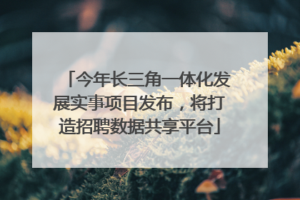 今年长三角一体化发展实事项目发布，将打造招聘数据共享平台