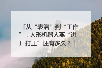 从“表演”到“工作”，人形机器人离“进厂打工”还有多久？｜机器人商业新纪元