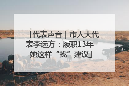 代表声音｜市人大代表李远方：履职13年 她这样“找”建议
