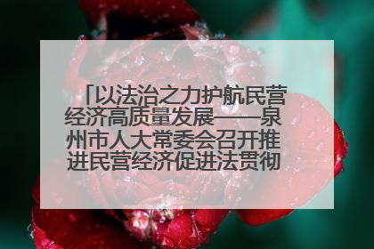 以法治之力护航民营经济高质量发展——泉州市人大常委会召开推进民营经济促进法贯彻实施座谈会