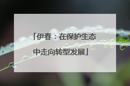 伊春：在保护生态中走向转型发展