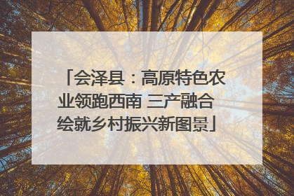 会泽县：高原特色农业领跑西南 三产融合绘就乡村振兴新图景