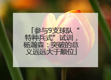 参与9支球队“特种兵式”试训，杨瀚森：突破的意义远远大于顺位