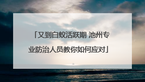 又到白蚁活跃期 池州专业防治人员教你如何应对