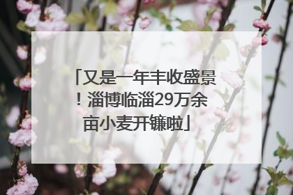 又是一年丰收盛景！淄博临淄29万余亩小麦开镰啦