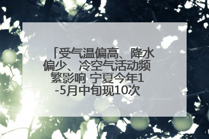 受气温偏高、降水偏少、冷空气活动频繁影响 宁夏今年1-5月中旬现10次定级沙尘天气过程