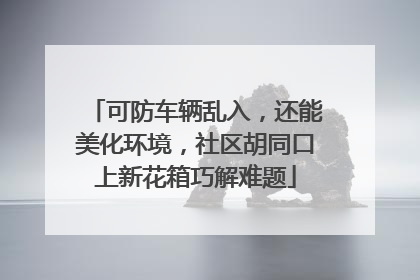 可防车辆乱入，还能美化环境，社区胡同口上新花箱巧解难题