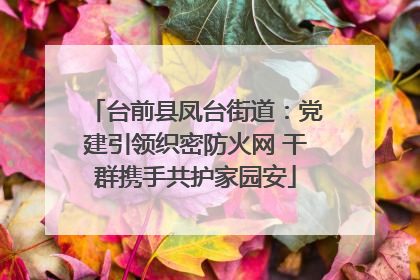 台前县凤台街道：党建引领织密防火网 干群携手共护家园安