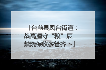 台前县凤台街道：战高温守“粮”辰 禁烧保收多管齐下