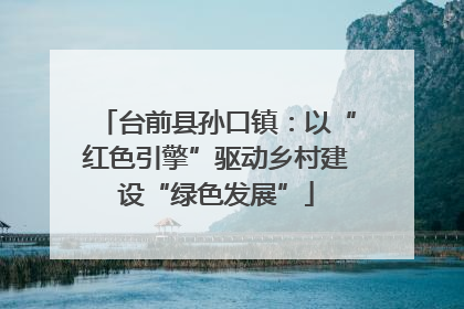 台前县孙口镇：以“红色引擎”驱动乡村建设“绿色发展”